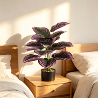 Plante artificielle de arrowroot à 18 têtes, 70 cm, violette et verte, en pot, feuilles tropicales, pour décoration intérieure, maison, bureau, vente en gros