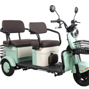 Vendita in fabbrica grande potenza motore 3 ruote elettrico triciclo passeggeri con EEC approvare tre - Product Image 1