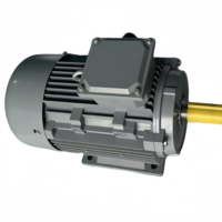 Moteur électrique triphasé en aluminium à montage sur bride 1500W 3000 tr/min IP54, fabriqué en Chine par WeiLi