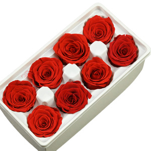 Fleur éternelle de qualité B, 4-5 roses séchées, couverture en verre artisanale, licorne, matériel de bricolage, petit ours - Product Image 4