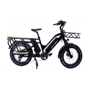 Bicicleta Urbana de Alto Rendimiento DELLEX Dynem C051 con Llantas Anchas, Bicicleta de Montaña para Aventuras al Aire Libre - Product Image 1