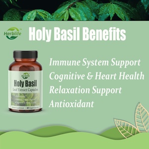 Capsules de basilic sacré Tulsi OEM ODM - Extrait de feuilles de basilic sacré, antioxydant, complément alimentaire à base de plantes, soutien à l'immunité et à la relaxation, végétalien - Product Image 3