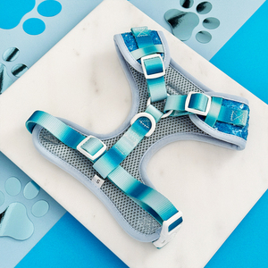 Blue Sequin Gradient Fashion Neues Modell Hunde hals geschirr Escape Proof Custom Design Hunde geschirr - Product Image 5