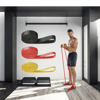 Lot de 3 bandes de résistance, 3 niveaux différents, assistance pour tractions, TPE durable et confortable, résistance maximale 25-65 lb, pour dips, Pilates, yoga, hommes