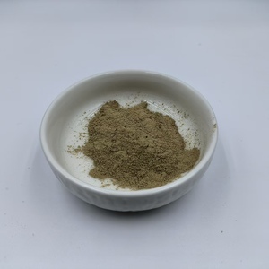 Poudre de spicules d'éponge Spongilla naturelle à 45 % et 70 %, prix d'usine, pour peeling à base d'algues - Product Image 4