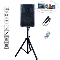 Système de sonorisation portable professionnel 300W avec haut-parleur de 8 pouces, Bluetooth, karaoké, TWS, micro, égaliseur et écho - Enceinte active