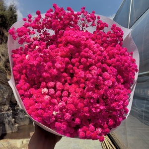 Flores Secas de Gypsophila Naturales Preservadas de Alta Calidad al por Mayor, 400 g, Regalo para el Día de San Valentín, Navidad, Decoración del Hogar - Product Image 3