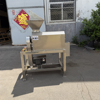 RVS motor aangedreven 220V fruitontpitter en -pulpmachine, mango pulp scheidingsapparatuur voor verwerkingsbedrijven
