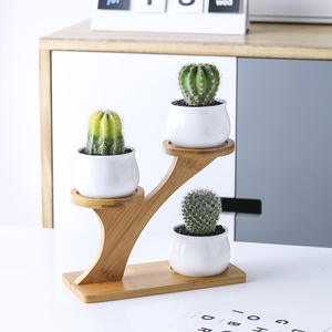 Pot de fleurs créatif en céramique de citrouille de hibou de plante charnue <span class=keywords><strong>blanche</strong></span> avec sommet d'arbre en bambou pour la maison et le jardin - Product Image 2