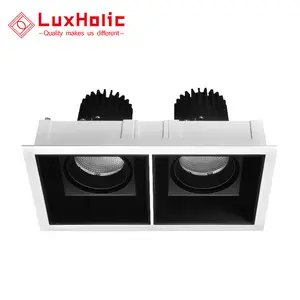 LuxHolic 170毫米切出矩形可调20w Cob Led模块隐藏式筒灯白色双头Led筒灯