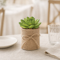 Mini-bonsaïs réalistes, plantes succulentes artificielles, cactus en pot