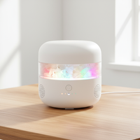 Diffuseur d'huiles essentielles à 7 couleurs avec lampe en sel de l'Himalaya, diffuseur d'arômes ultrasonique à brume froide avec haut-parleur musical