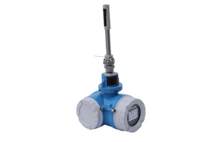 Medidor de Flujo Másico Térmico Endress+Hauser, Flujo, Temperatura del Gas, Parámetros de Volumen Corregido - Product Image 6