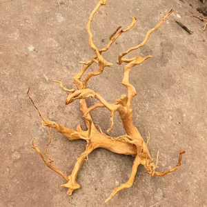 Drijfhout Voor <span class=keywords><strong>Aquarium</strong></span> Natuurlijk Reptiel Azalea Wortelhout 60-90Cm Diverse Takken <span class=keywords><strong>Aquarium</strong></span> Decoratie <span class=keywords><strong>Aquarium</strong></span> <span class=keywords><strong>Aquarium</strong></span> <span class=keywords><strong>Aquarium</strong></span> Ornament Decor - Product Image 3