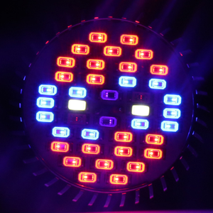 Espectro completo 28W Led Grow Lights E27 E14 Led Lámpara <span class=keywords><strong>de</strong></span> <span class=keywords><strong>crecimiento</strong></span> <span class=keywords><strong>de</strong></span> <span class=keywords><strong>plantas</strong></span> <span class=keywords><strong>de</strong></span> color rojo + azul + blanco + UV + IR para flores <span class=keywords><strong>de</strong></span> invernadero <span class=keywords><strong>de</strong></span> interior - Product Image 6
