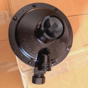 Regulador de gas GLP de segunda etapa de baja presión REGO LV5503B6 36kg/h para quemador DN20 - Product Image 4