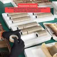 Elemen Piezo Pzt4 Pzt8, Cincin Keramik Piezoelektrik, Disk Piezo, Disk Piezoceramic