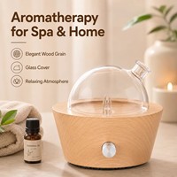 Diffuseur d'huiles essentielles sans eau à nébulisation, base imitation bois, dôme en verre, bouton rotatif, pour la maison, le spa, le bureau, diffuseur d'arômes