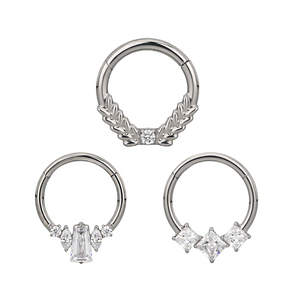 Fábrica de moda con bisagras segmento aro anillo cuerpo ASTM F136 titanio Piercing Prong Set CZ G23 nariz anillo pendiente joyería al por mayor - Product Image 2