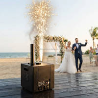 Machine à étincelles froides DMX télécommandée, étanche, à jet de flamme haute altitude, pour effets de scène, mariages et fêtes