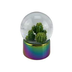 Globo de água personalizado, moldura personalizada do globo de água; Led Water Globe; Cacto Snow Globe Com Elctroplated Rainbow Base Artesanato e Presente