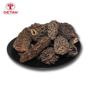 Funghi Morchella Essiccati Biologici di Alta Qualità in Confezione Grande - Product Image 2