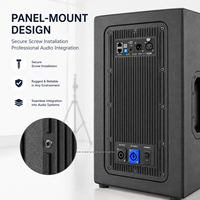 Module d'amplificateur audio bi-amplifié de classe D actif professionnel X2DM800-2 800W DSP 15 pouces