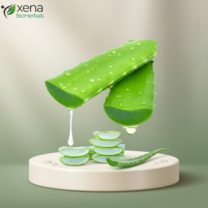 Gel d'aloe vera biologique 100% naturel pur pour le visage, vente en gros, fournisseur de marques privées - Product Image 1
