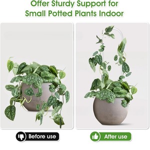 Tuteur en Acrylique Transparent en Forme de U <span class=keywords><strong>pour</strong></span> Plantes, Supports Durables <span class=keywords><strong>pour</strong></span> Jardinage Intérieur/Extérieur, <span class=keywords><strong>pour</strong></span> Vignes, <span class=keywords><strong>Fleurs</strong></span> en Pot, Moderne - Product Image 5