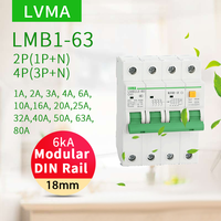 RCBO/RCCB LMB1LE-80 6kA 1P-4P Pemutus Sirkuit Miniatur (MCB) dengan Perlindungan PA66 Li Tembaga 6A-80A