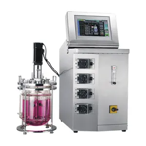 Biorreactor a escala de laboratorio Biorreactor de sobremesa Fermentador de biorreactor de vidrio pequeño