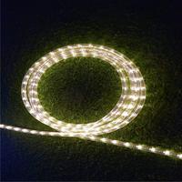 Guirlandes lumineuses LED de Noël pour extérieur, rondes, 2 fils, diamètre 10 mm, 10 m, étanches
