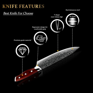 Ensemble <span class=keywords><strong>de</strong></span> 5 couteaux <span class=keywords><strong>de</strong></span> <span class=keywords><strong>cuisine</strong></span> professionnels <span class=keywords><strong>de</strong></span> chef et boucher, lame japonaise Damas 67 couches 8 pouces AUS 10, manche en Pakka rouge, prix usine - Product Image 6