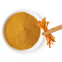 Gummies à l'extrait de Cordyceps Sinensis OEM, complément énergétique, végétalien, champignon crinière de lion, gummies à l'extrait de Cordyceps Sinensis