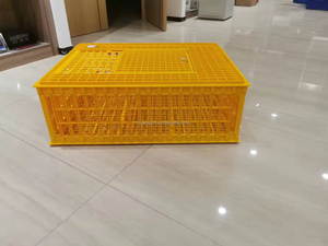 <span class=keywords><strong>ลัง</strong></span>พลาสติกขนาด 750*550*330 มม. สำหรับขนส่งไก่ เป็ด นกกระทา รุ่น HJ-DN016 - Product Image 2