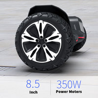 Batterie au lithium de haute qualité 36V 2021 Blue Tooth Hover Hoverboard à vendre