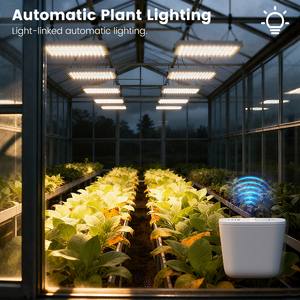 Capteur de lumière intelligent Tuya Zigbee 3.0, détecteur d'éclairement, de luminosité et de lumière ambiante, contrôle par application domotique, étanche IP67 - Product Image 4