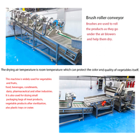KAYA Automatische Industriële Motor Aangedreven Fruit Reinigings- en Drooglijn Fruit en Groente Lucht Droogmachine 50W