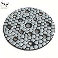 LITTLE ANT Disques de polissage diamantés à séchage rapide, multi-trous, poreux, 150 mm (6 pouces), ensemble pour le meulage des bords du granit et du marbre