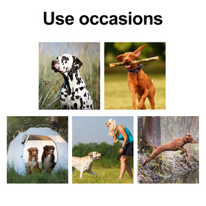 Localizador de Mascotas Beeper Hunter 2026, el Más Vendido, con Alcance de 1.25 Millas, Entrena a 2 Perros, Tono de Advertencia |   Vibración |   Collar de Adiestramiento para Perros con Descarga Eléctrica Estática - Product Image 6