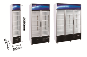 Réfrigérateur-congélateur vitrine VICTORY KITCHEN, vente flash, température réglable de 2 à 8 degrés, réfrigérant R290 pour hôtel - Product Image 6