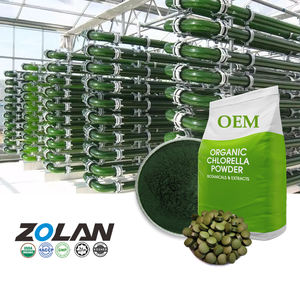مسحوق الكلوريلا والسبيرولينا العضوي عالي الجودة بسعر الجملة، مسحوق الكلوريلا قابل للذوبان في الماء ومركز - Product Image 1