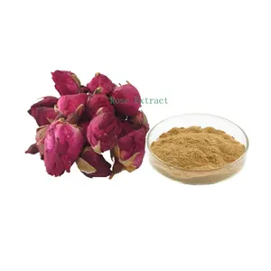 Estratto di fiori di rosa estratto di rosa rosa estratto di fiori di 10:1 TLC polifenoli UV Rugosa rosa Ramanas estratto di fiori