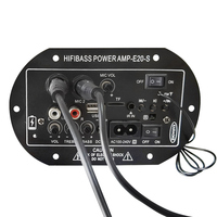 Amplificateur de puissance HiFi E20S avec basses profondes, 220V 12V 24V, caisson de basses avec double microphone, radio FM, BT 5.0, carte amplificateur audio pour voiture, home cinéma