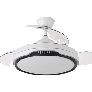 Y228 vô hình Reversible fan hâm mộ ánh sáng và điều khiển từ xa 42 inch Quạt trần ánh sáng có thể thu vào LED quạt trần ánh sáng cho trong nhà - Product Image 1