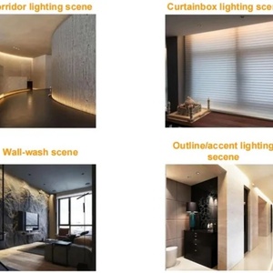 Tira de Luz LED Flexible de Silicona de 24V 36W para Iluminación Arquitectónica de Puentes - Product Image 3