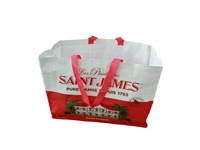 Shopping réutilisable Eco grand fourre-tout non-tissé sac de transport d'épicerie sac en tissu personnalisé biodégradable Non tissé pas cher transporter Tnt sac/pliant
