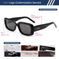 Lunettes de soleil en acétate épais personnalisées avec logo, verres TAC UV400, monture carrée classique pour hommes et femmes