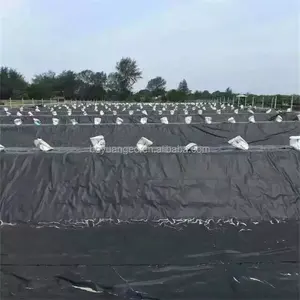 Factory Supply Blue HDPE Geomembrane 0.5mm 1.0mm Roll Size Price For Swimming Pool