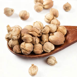 Noix de muscade entière biologique de haute qualité, qualité supérieure, fraîche, grade A, 100% biologique, coquille, 1 kg, séchée, d'Anhui - Product Image 5